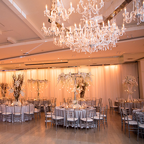 Woodbury Jewish  Center Long  Island  Wedding  Reception  